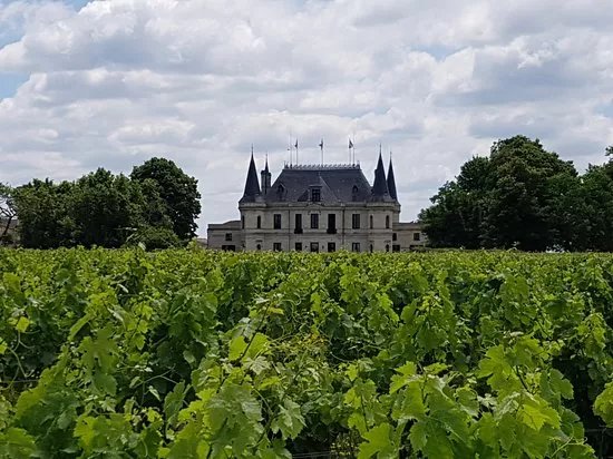 Chateau Palmer