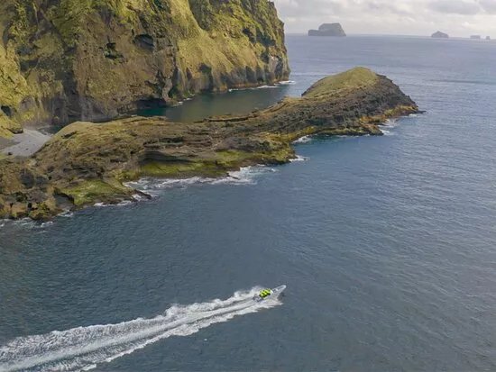 Seabirds and Cliff Adventures