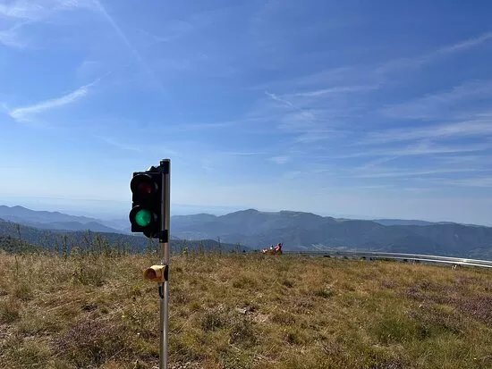 Le Markstein Luge Sur Rail