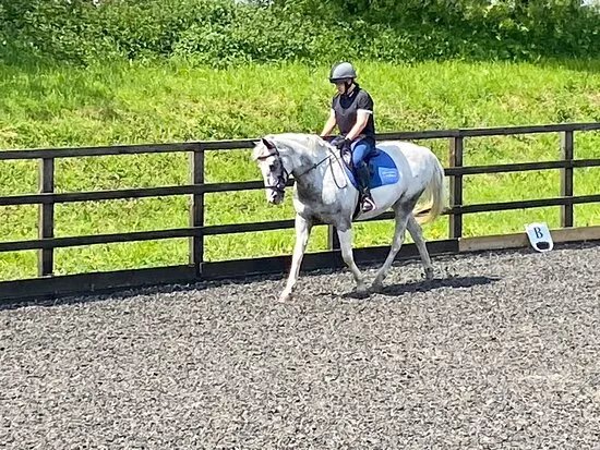 Talland School of Equitation