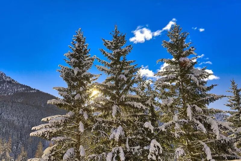 Twins Champoluc - a few minutes on foot from the ski resort, for 5 people, in
