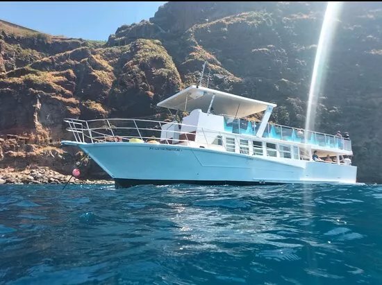 Living Sea Boat Trip