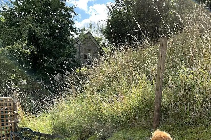 Bankside Cottage Milldale ' Escape and Explore' from the door.  (Pet Friendly!)