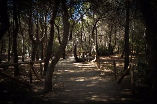 Parco Pineta Regina