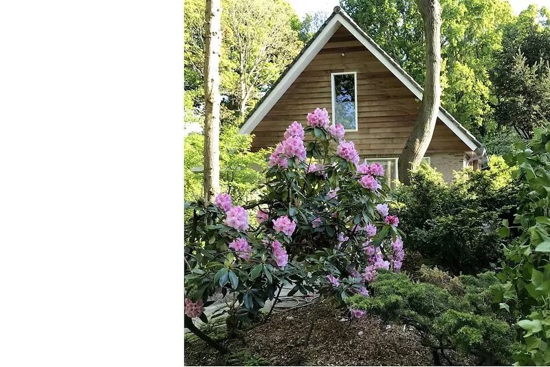 Studio OAK, modern 2-p-residence with private garden, near village, sea and dune