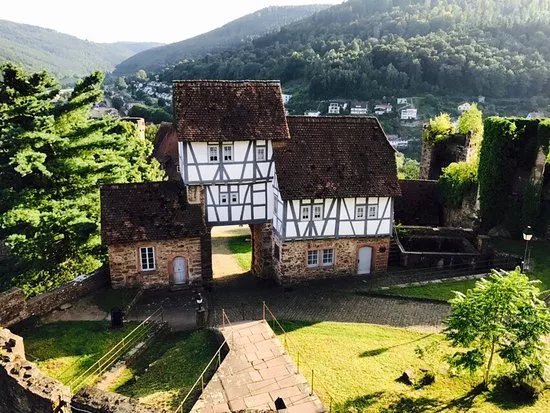 Schloss Hirschhorn
