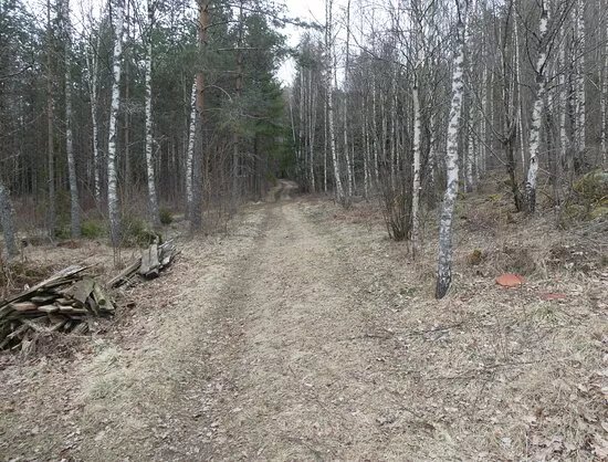 Kyststien I Halden