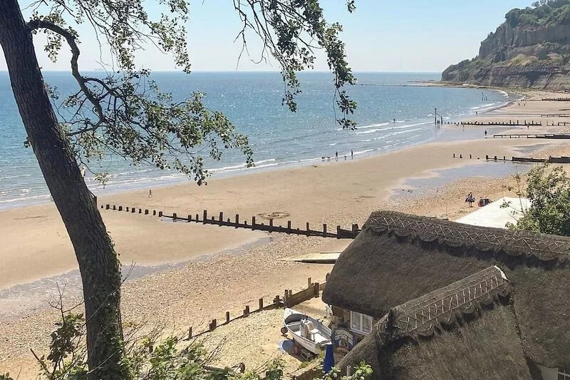 1 bedroom accommodation in Shanklin