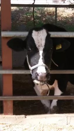 Riverland Bio Farm