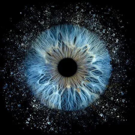 Iris Galerie Pisa