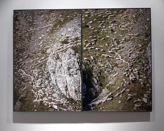 Centro De Arte Contemporaneo Can Sistere