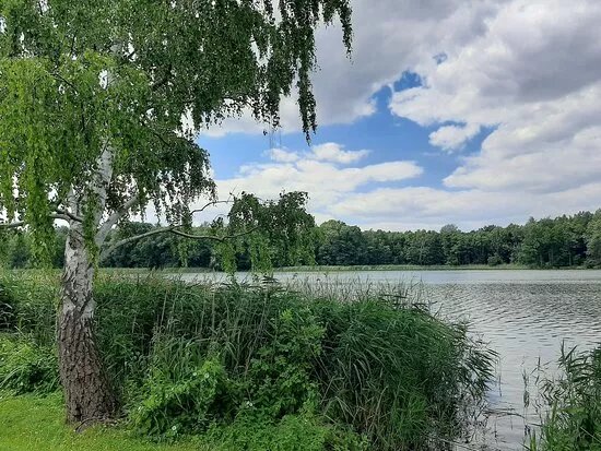 Promenada im. Wislawy Szymborskiej