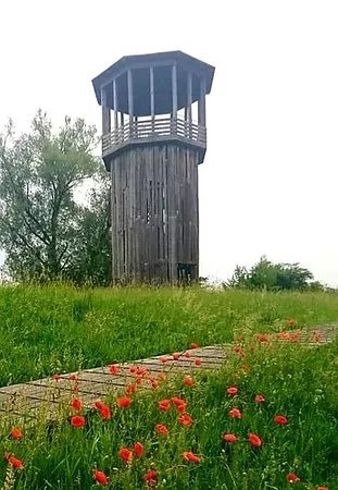 Walkway and Tower