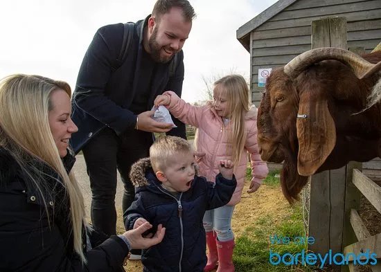 Barleylands Farm Park