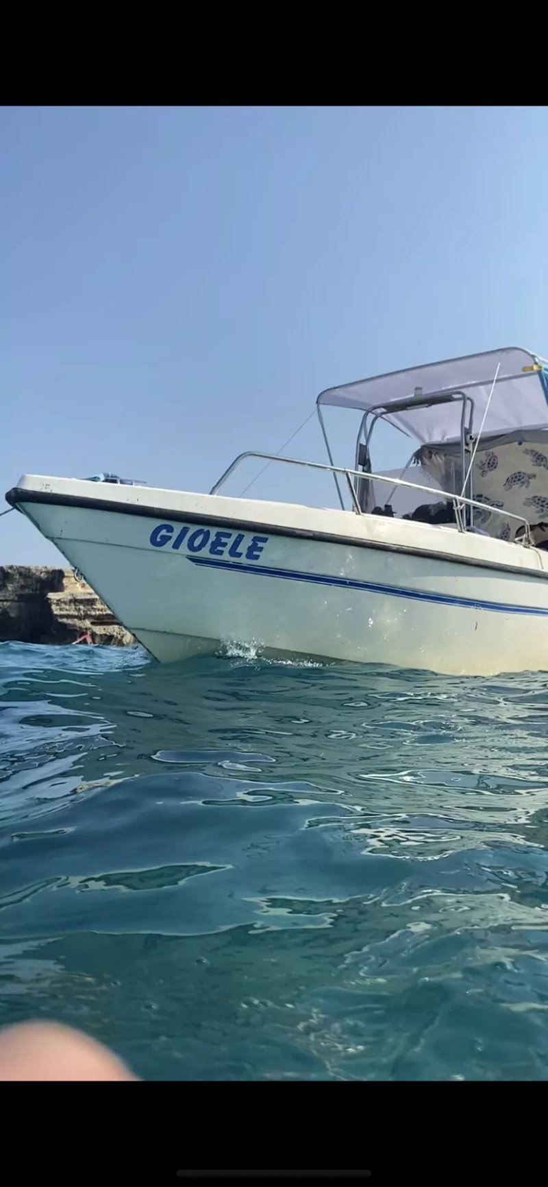 Nautica Petrachi