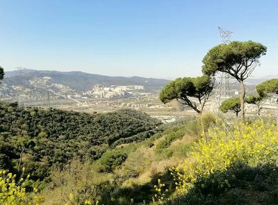 Poblat Iberic Puig Castellar