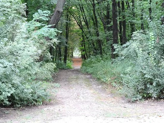 Zapaden Park