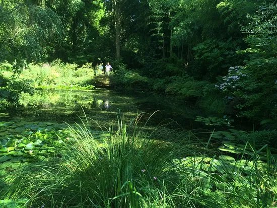 Jardin d'Atmosphere du Petit Bordeaux