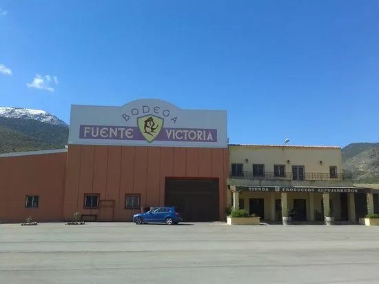 Bodega Fuente Victoria