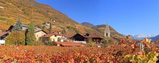 Weingut Plonerhof