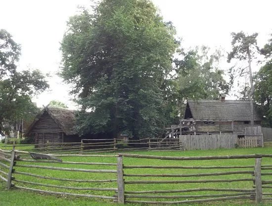 Castrum Turglowe