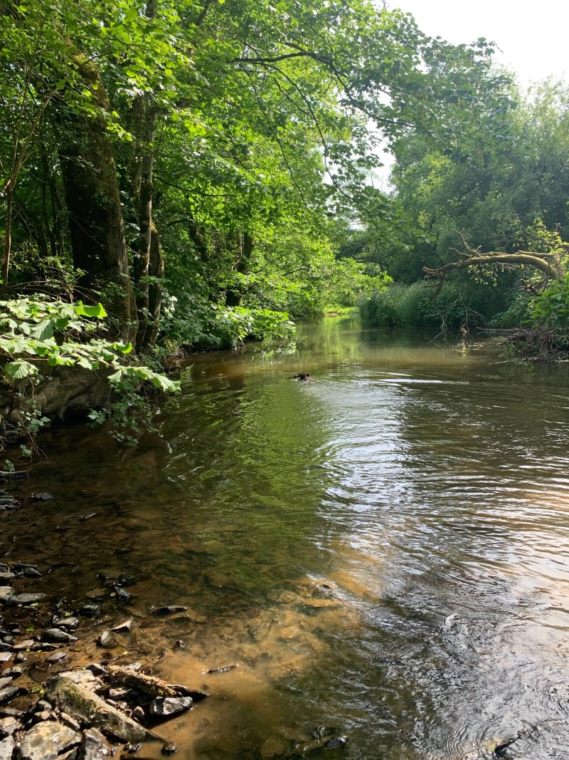 Lakemoor Devon
