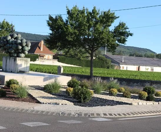 Grappe De Raisin De Puligny-montrachet