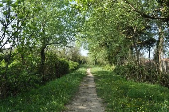 Riserva Naturale Ca' Roman