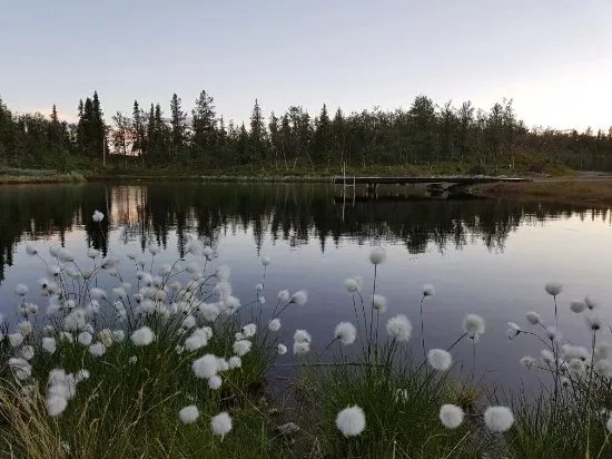 Liatoppen Fjellpark