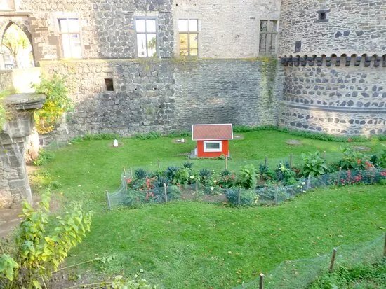 Burgruine Mit Schlossgarten In Andernach.