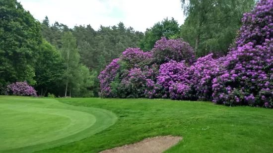 Golf du Champ de Bataille