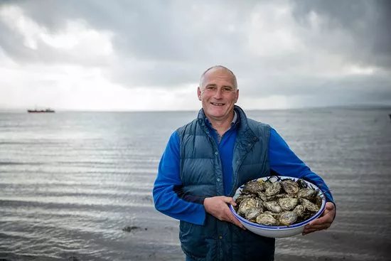 Kerry Premium Oysters