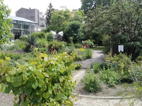 Orto Botanico di Ferrara