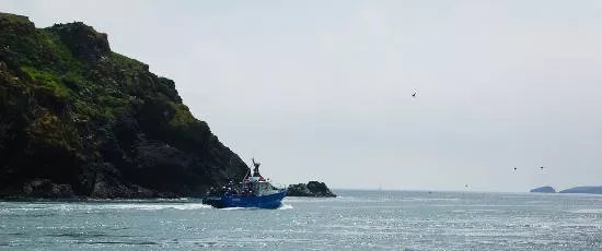 Pembrokeshire Islands Boat Trips