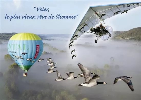Voler Avec les Oiseaux