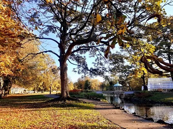 Pearson Park