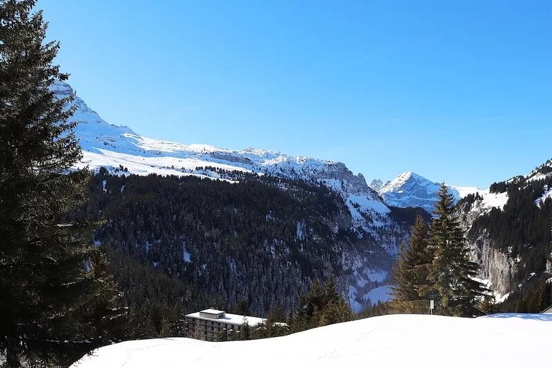 Lajkó: renovated designer apartment at the foot of the slopes