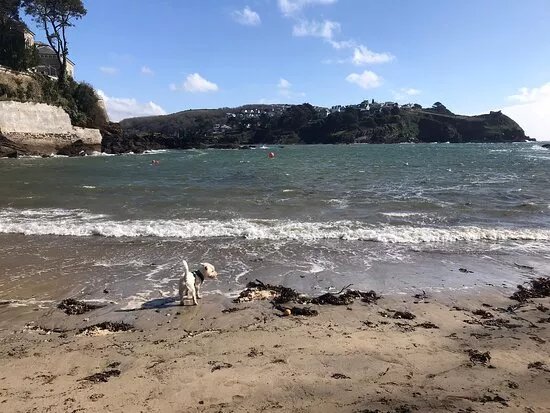 Readymoney Cove