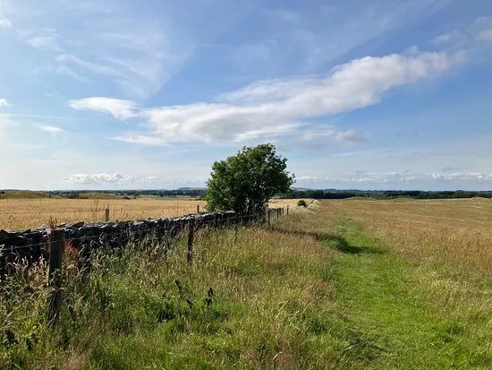 Priddy Nine Barrows Cemetery