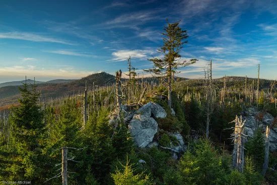 Nationalpark Bayerischer Wald
