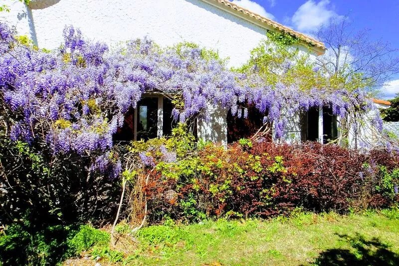Gîte Glycine with private terrace