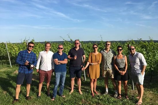 Cycle The Vineyards