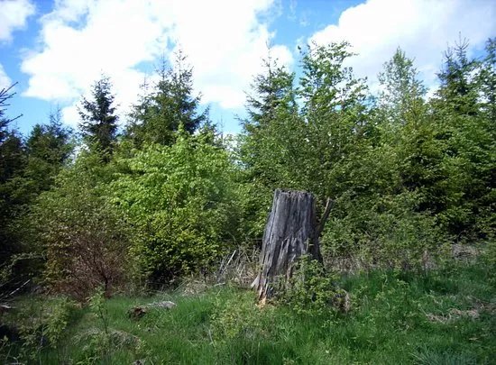 Kyrillpfad