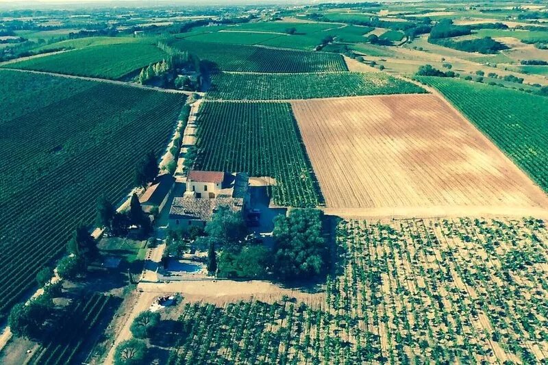 RENTAL OF A MAS WITH POOL IN A VINEYARD IN FIELD CAMARGUE