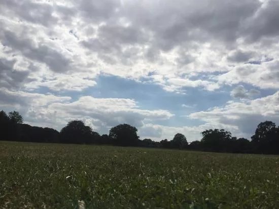 Court Park