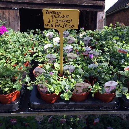 Bannuttree Farm Shop