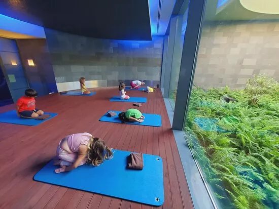 Yoga Kids Algarve