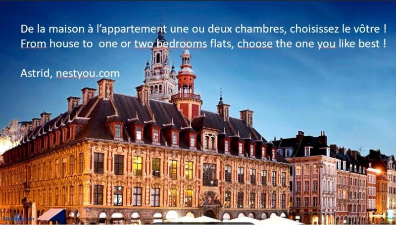 Nestyou Vieux Lille Centre Ville
