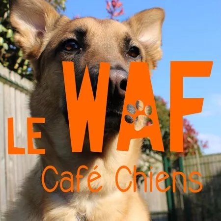 Le Waf
