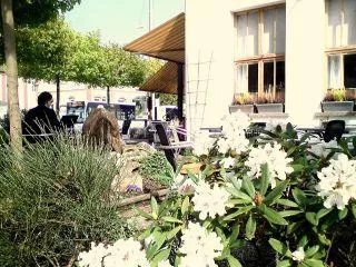 Cafe Gude